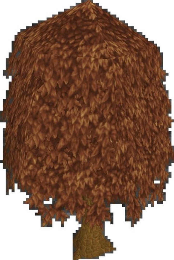 Runescape Willow Tree Locations How Many Queens Are In A Deck Of Cards