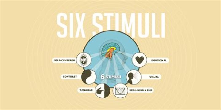 SalesBrain 6 Stimuli