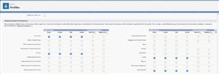 Salesforce Permissions in a Nutshell Profiles vs. Permission Sets