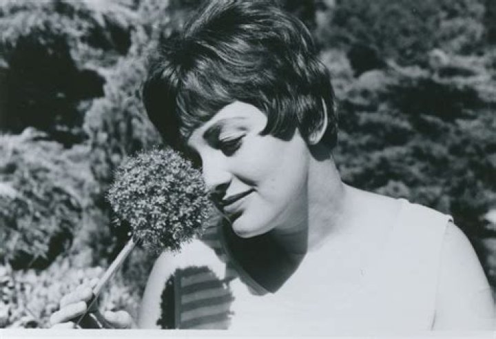 Sandra Lee Fink Obituary Hamilton, ON