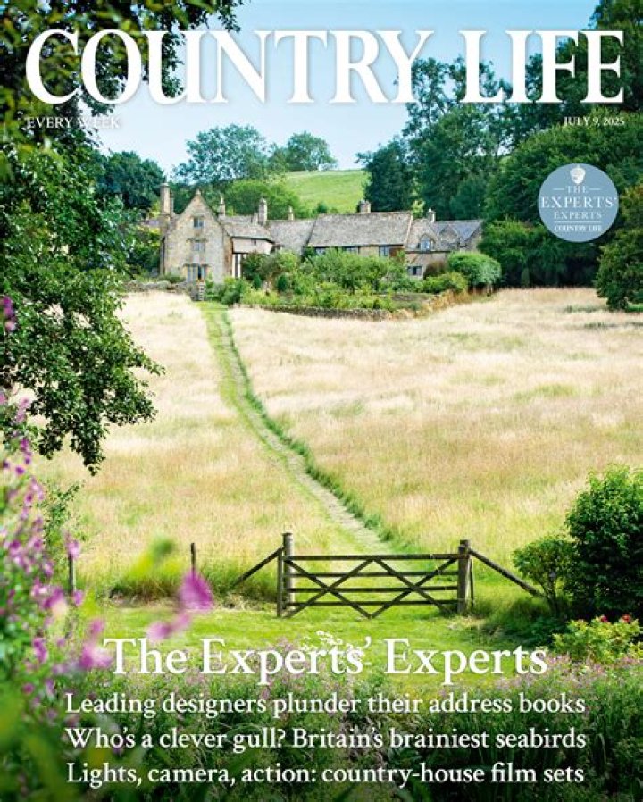 Secrets Of The Country Life: Uncovering The Net Worth Of Vloggers