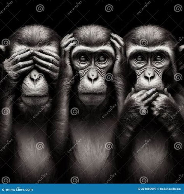 See No Evil Hear No Evil Speak No Evil Skulls