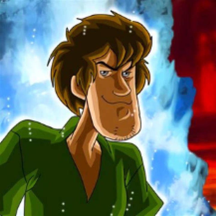 Shaggy's Net Worth 2024 Bio, Age, Wife, Kids, Career
