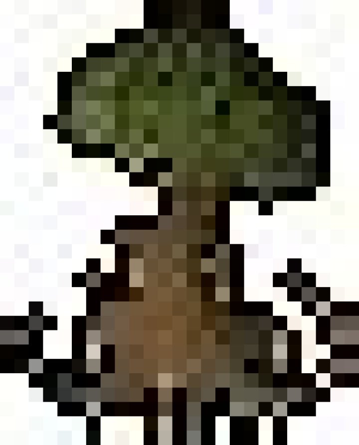 Spirit sapling OSRS Wiki