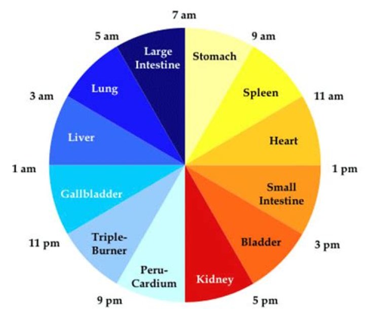 TCM Horary Clock Healthee Life