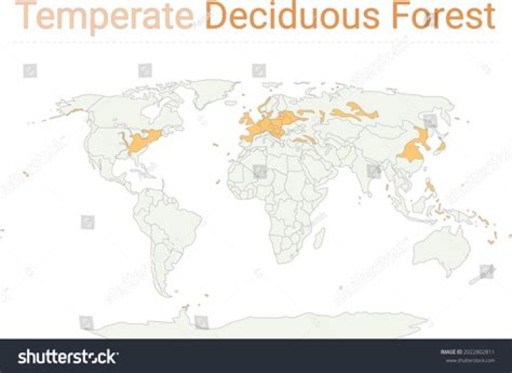 Temperature Deciduous Forest