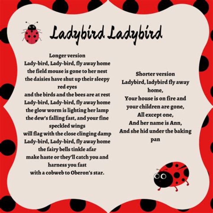 The Ladybird Song