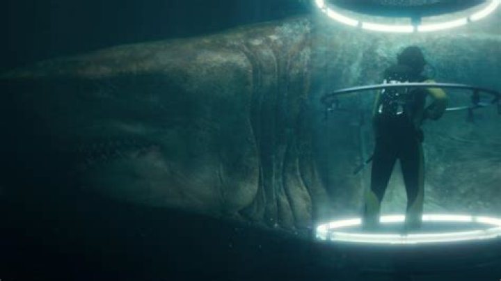 The Meg, megalodon sharks the truth explained The Advertiser