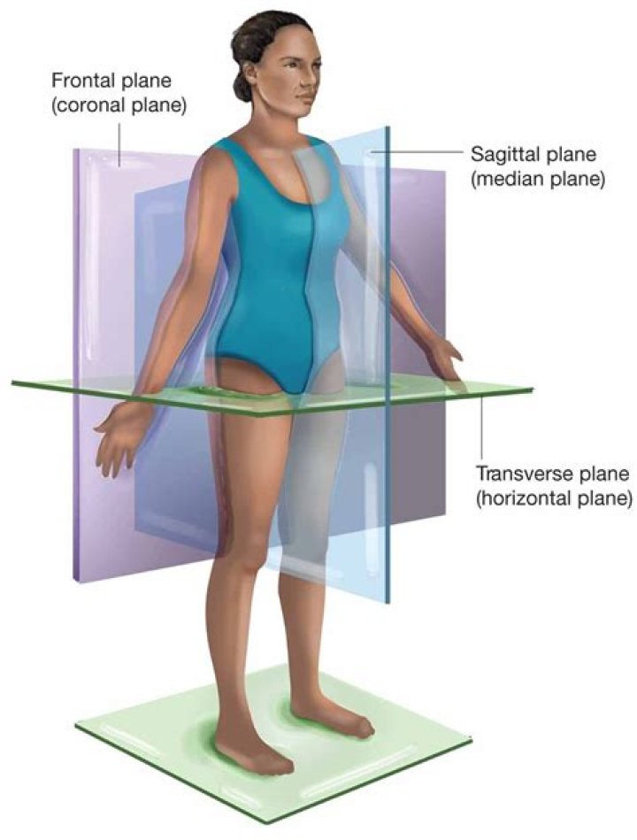 The sagittal (medial) plane passes through the person vertically and