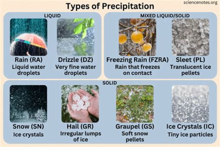 The Significance Of Precipitation In Deciduous Forests: A Comprehensive Guide