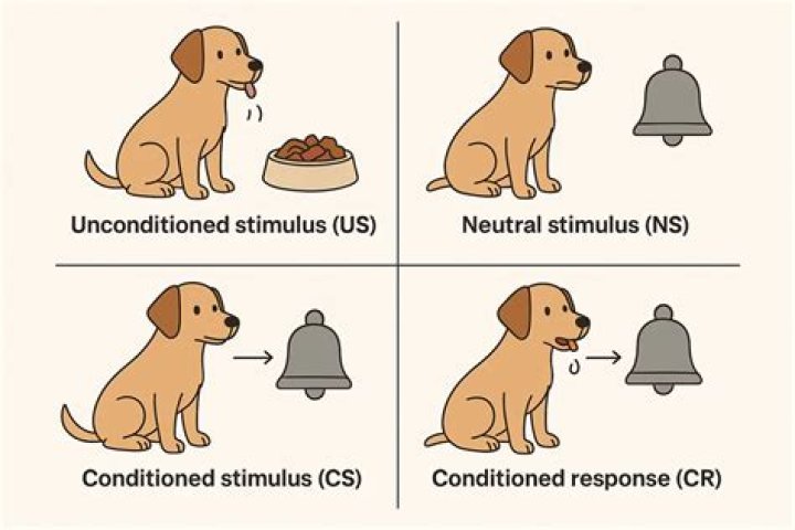 The Ultimate Guide To Stimuli That Trigger [Specific Response]