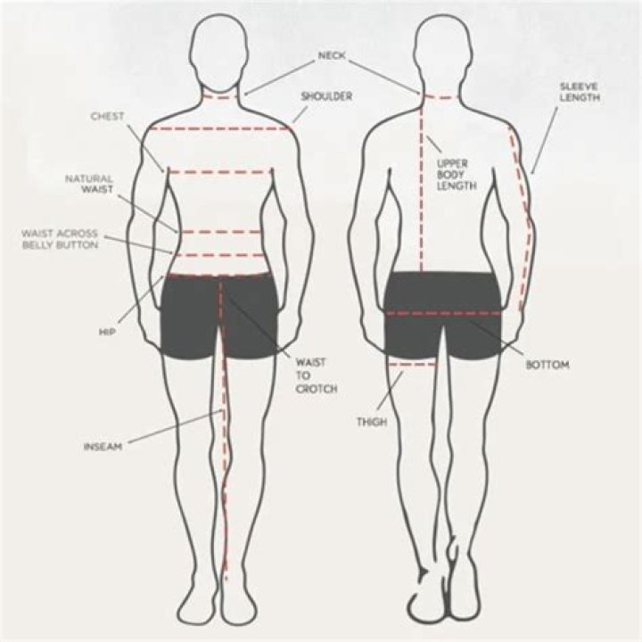 The Ultimate Guide To Torso-to-Leg Ratio For Optimal Body Composition