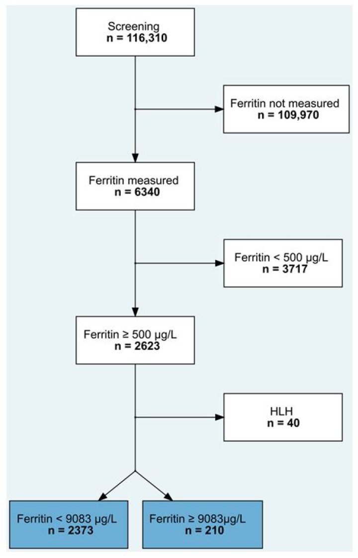 The Untold Significance Of Elevated Ferritin Levels: Unlocking The Mystery