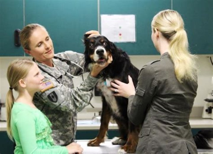 This Marine fought the military so she could keep her hero dog