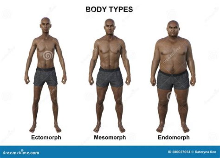 THREE DIFFERENT BODY TYPES (TORSO/LEG PROPORTIONS) SET TO SAME HEIGHT