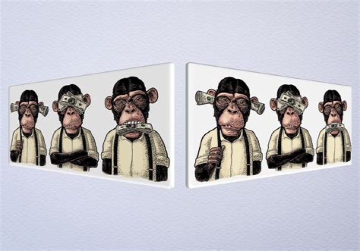 Three wise monkeys not see not hear not speak Vector Image , Affiliate