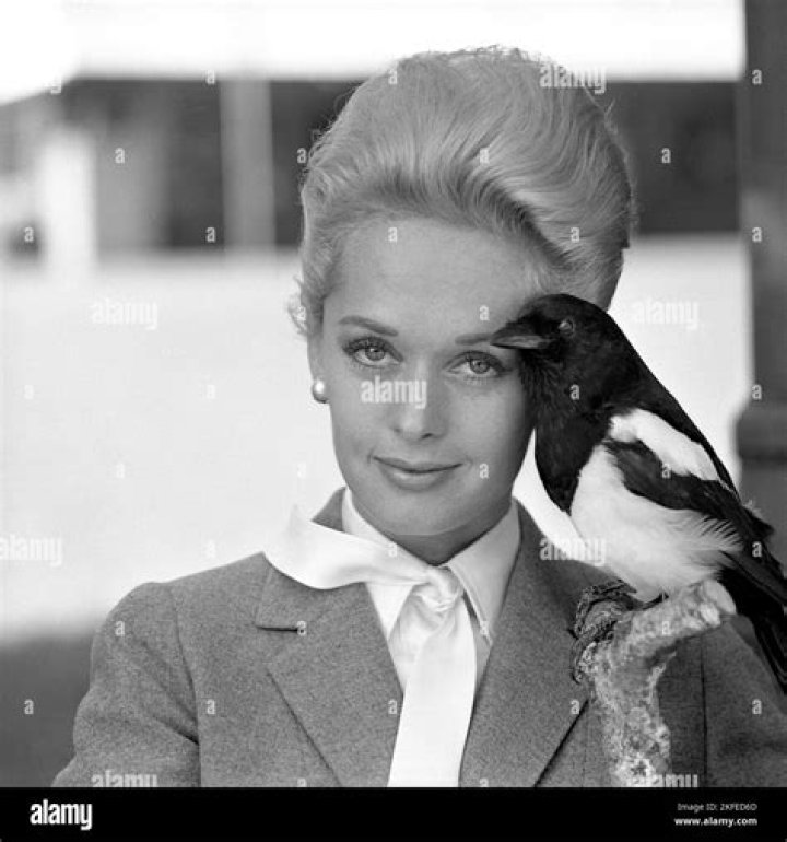 Tippi Hedren's Life and Career in Photos