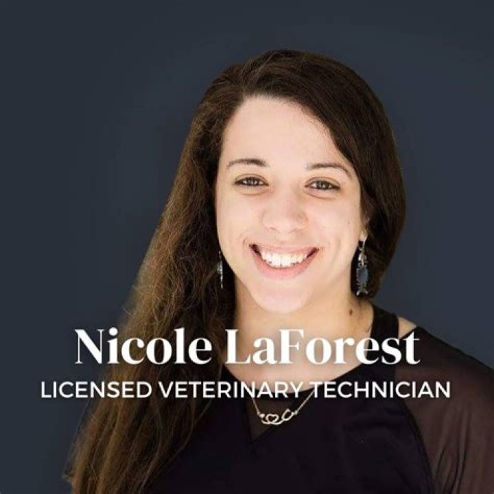 Top SEO Expert: Nicole Lavitt