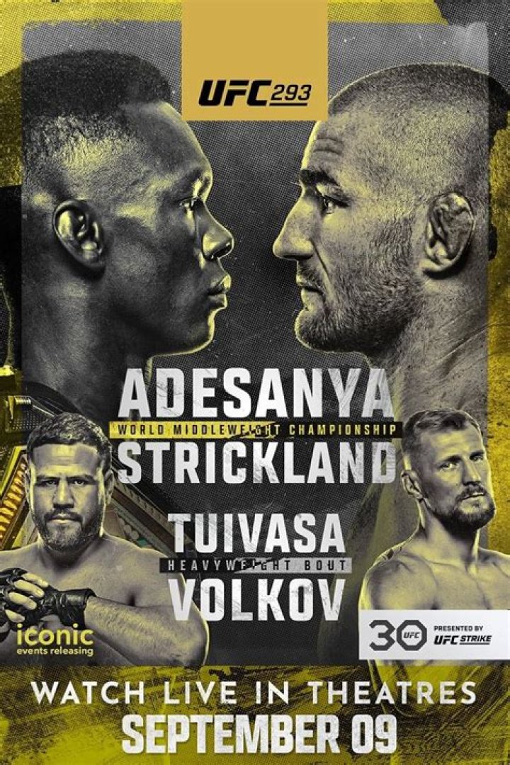 UFC 293 The Junction