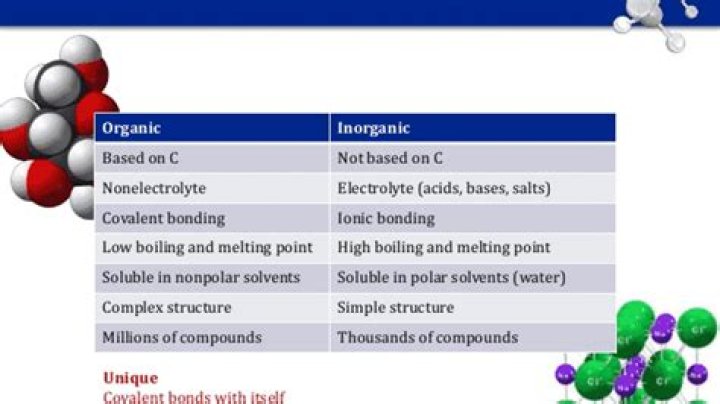 Understand the Difference Between Organic and