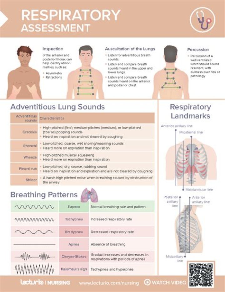 Understanding Babies' Respiratory Rates: A Comprehensive Guide