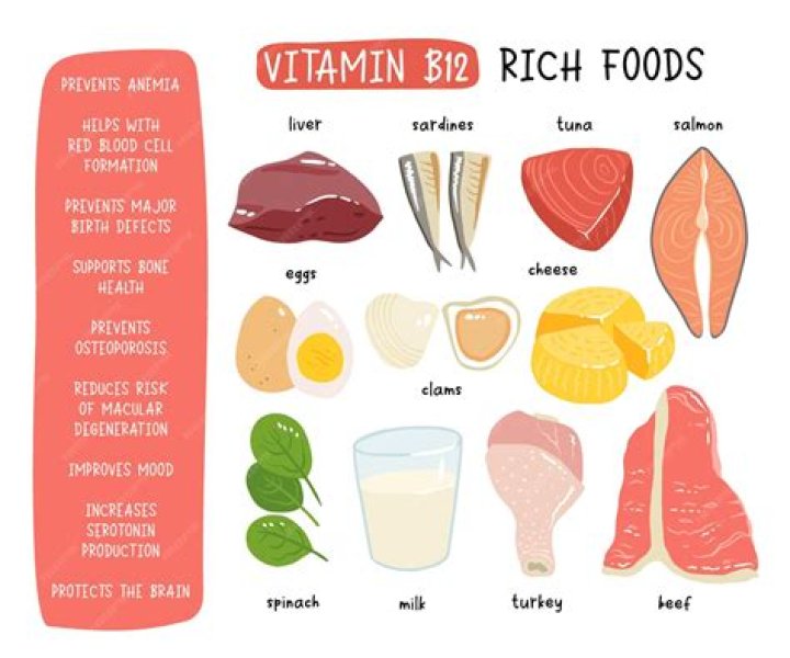 Vegetarianfriendly foods for Vitamin B12 high in this essential nutrient.