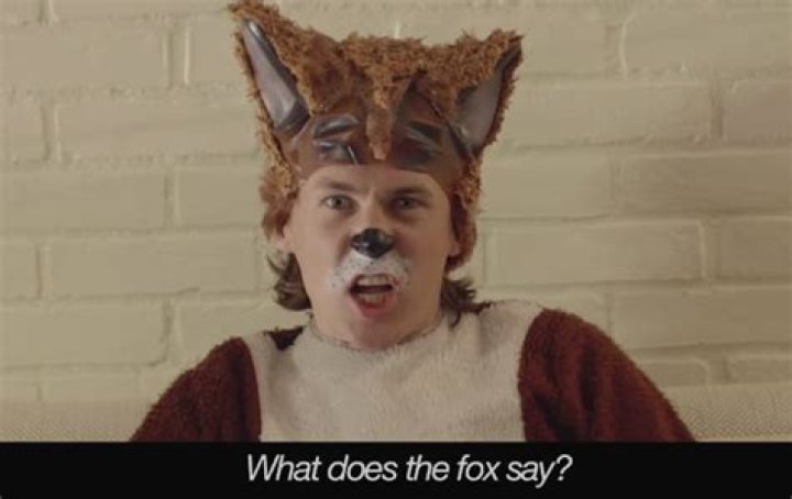 Viral Postmortem What Did Ylvis Mean?