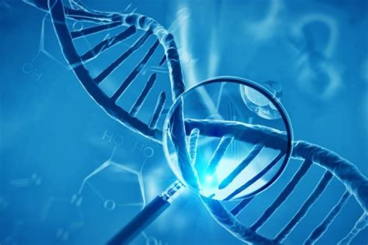 W&M Research Junk DNA and the Strawberry Genome William & Mary
