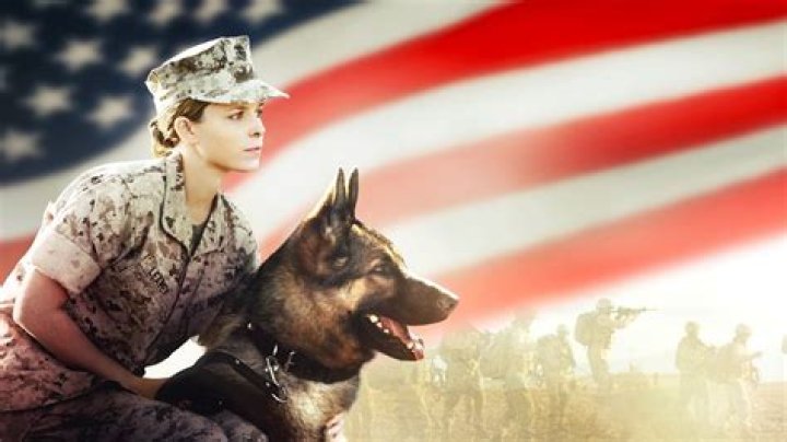Watch Megan Leavey (2017) Full Movie Free Online Plex