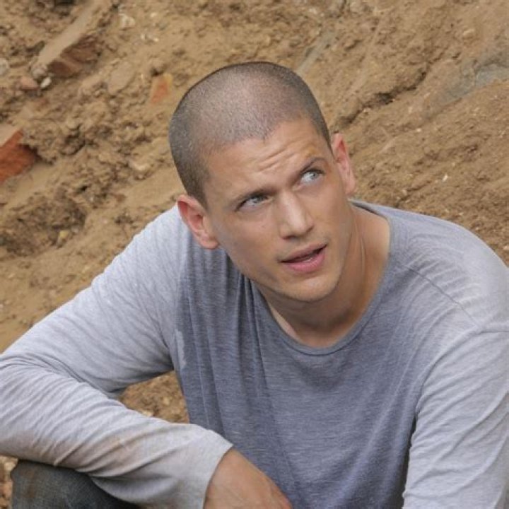 Wentworth Miller Says No More Prison Break As He Doesn't Want to Play