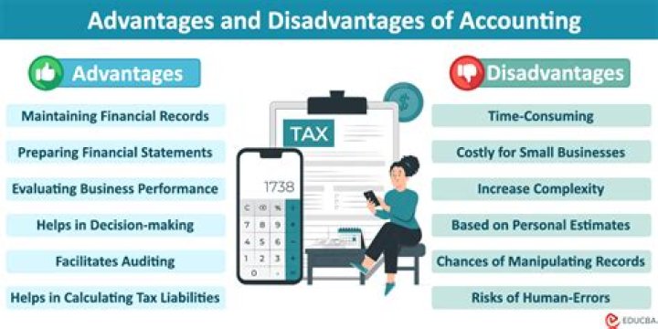 What are advantages and disadvantages of accounting?