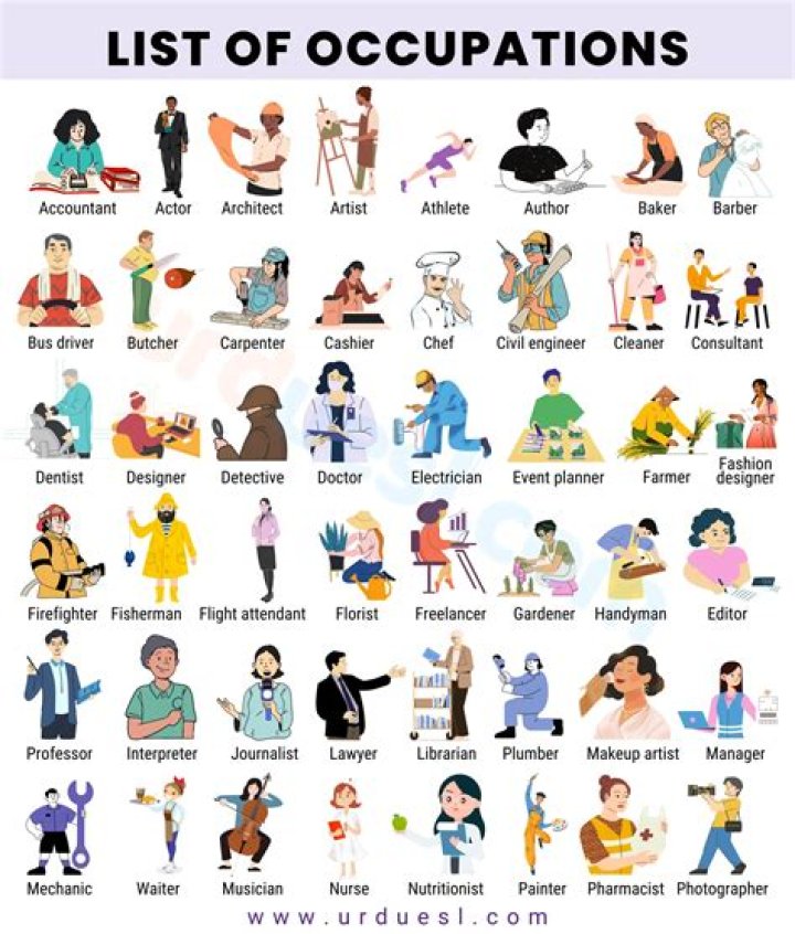 What are the top 5 professions?