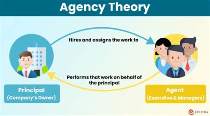 What relationship does agency theory examine?