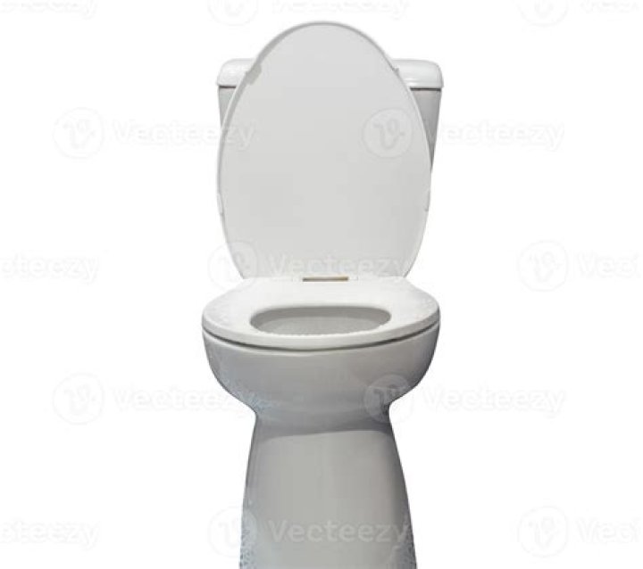 White toilet bowl Free Stock Photos LibreShot
