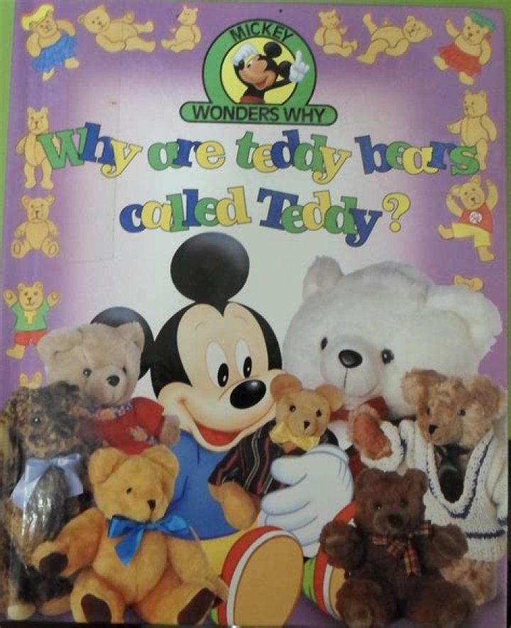 Why Are Teddy Bears Called Teddy ? (Mickey Wonders Why), Hobbies & Toys