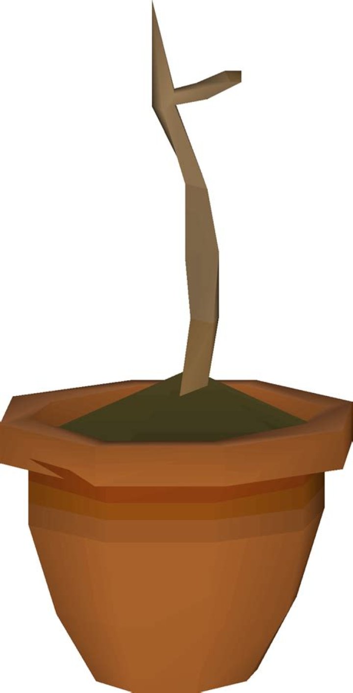 Willow sapling OSRS Wiki