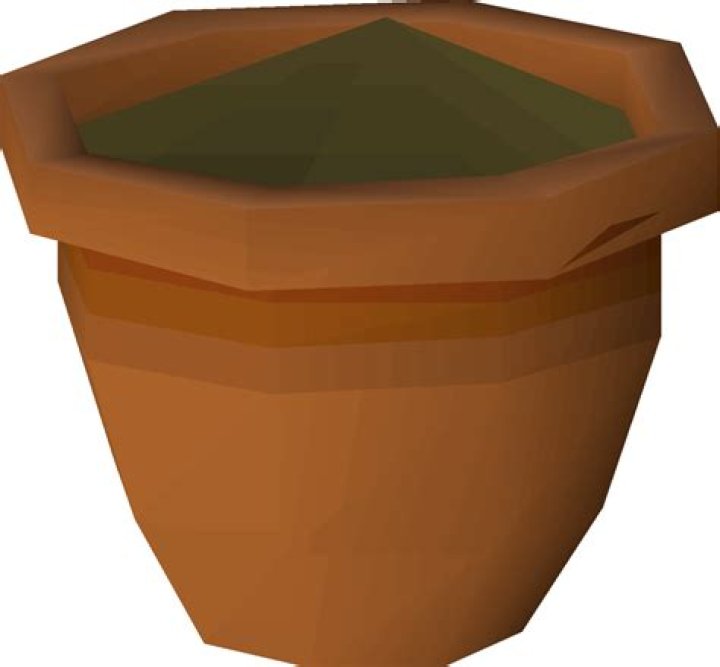Willow seedling OSRS Wiki