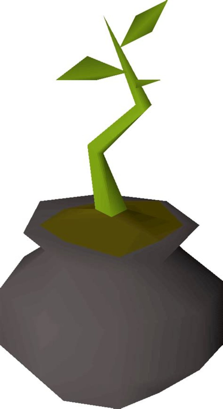 Willow tree Old School RuneScape Wiki FANDOM powered by Wikia