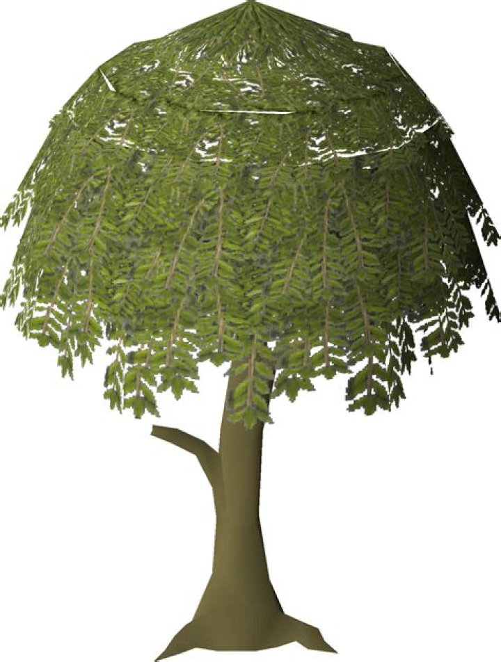 Willow tree OSRS Wiki