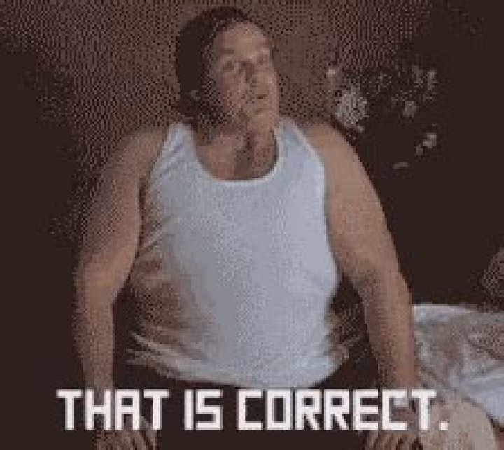 You Are Correct Chris Farley