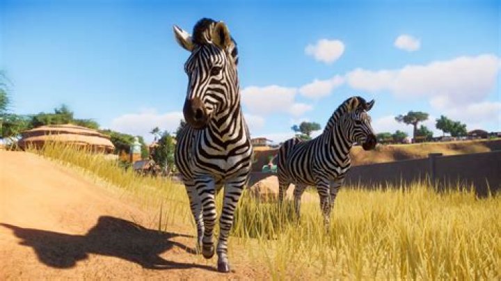 Zoo Visiting Can you Visit Other Players' Zoos? GameWatcher